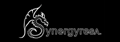 Synergy Real Estate