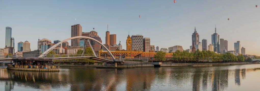 BARRY PLANT (BORONIA)