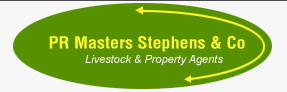 Masters Stephens Real Estate Bathurst