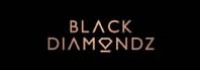 Black Diamondz Property Concierge