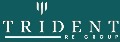 TRIDENT RE GROUP