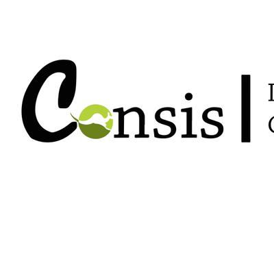 Consis Property Group