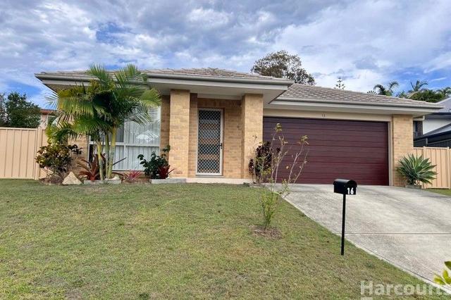 16 Rippon Place, NSW 2431