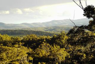Views (2008-03-25)