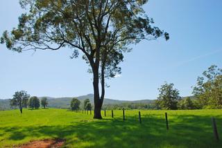 open country with massive views