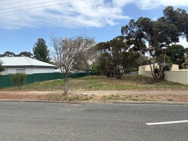 20 Butler Terrace, SA 5302