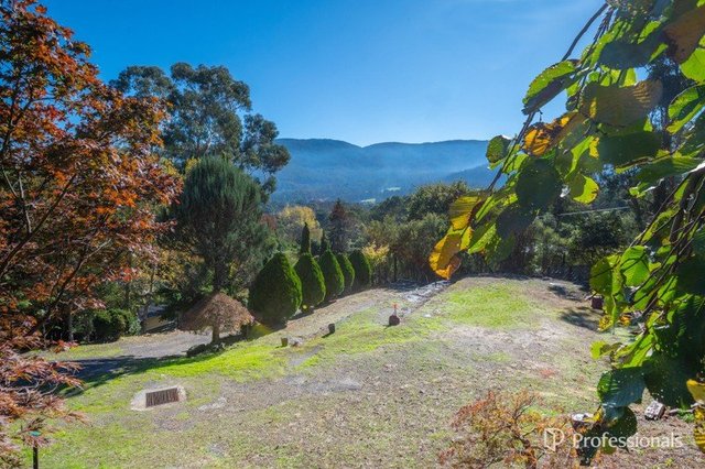 6 Bacchus Crescent, VIC 3799