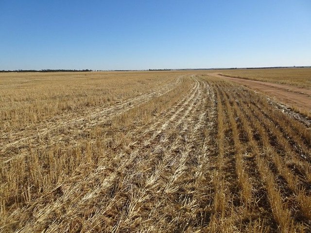 3397 Bendering Road, WA 6367