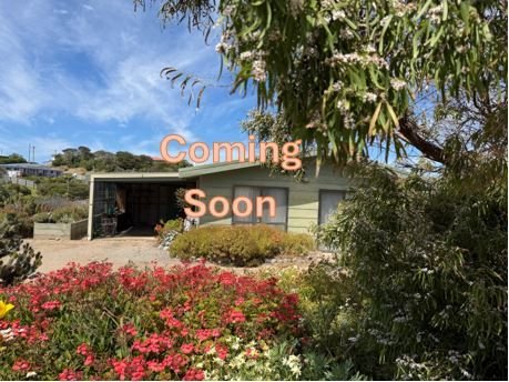 15 Lighthouse Street, TAS 7256