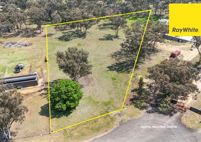 11 White Box Place, NSW 2360