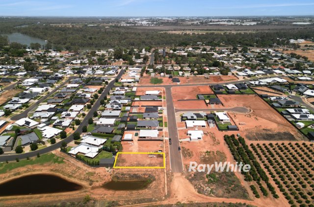 20 Woodside Drive, NSW 2738