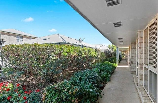 31/55-59 Drayton Road, QLD 4350