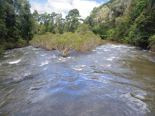 RN928 Glen Allyn Rd, QLD 4885