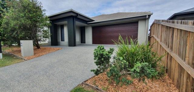 51 Wollombi Avenue, QLD 4208