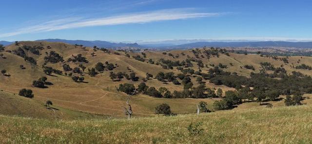 53 Halls Outlet Road, VIC 3714