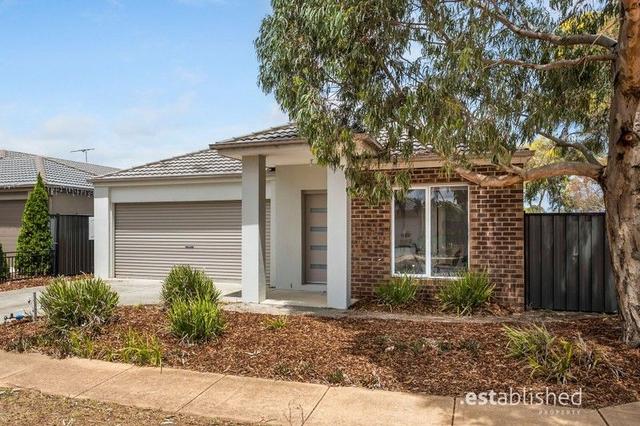 61 Brownlow Drive, VIC 3030