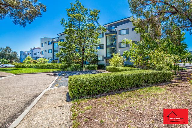 157/395 Antill Street, ACT 2602