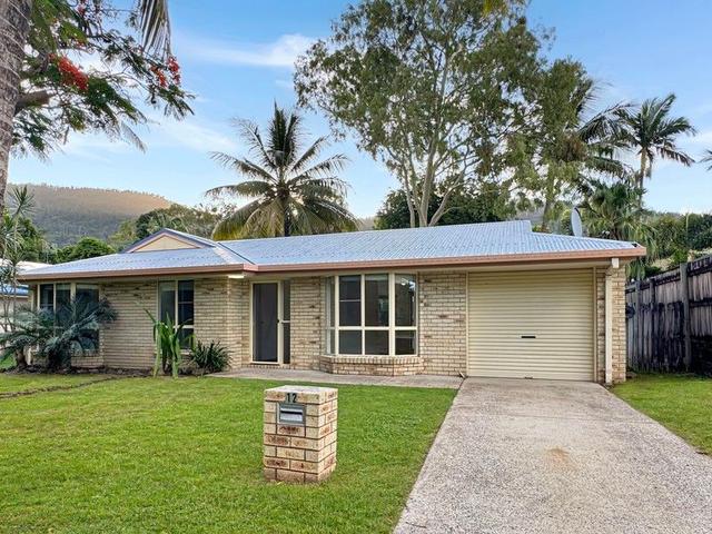 12 Phoenix Court, QLD 4802