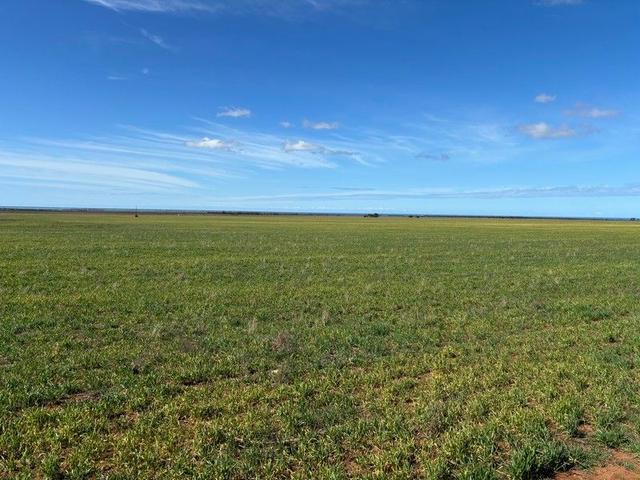 Lot 81 Wildman Road, SA 5602