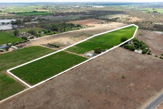 229 Jury  Road, SA 5344
