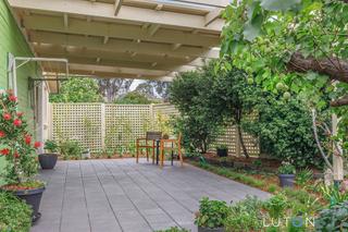 21Angophora_20191112-17.jpg (2019-11-14)