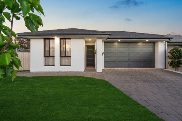 15 Albany Street, SA 5011