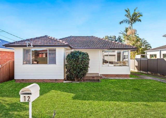 12 Fraser Street, NSW 2145