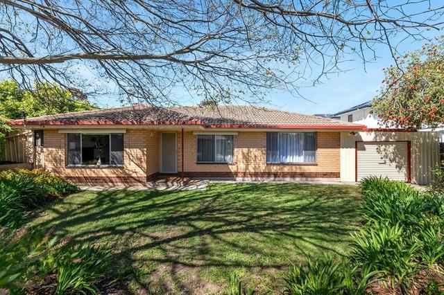 3 Tulip Street, SA 5097