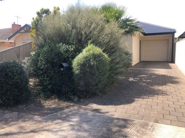 19 Maple Avenue, SA 5087