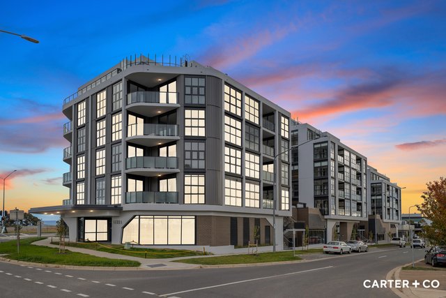 71/70 Efkarpidis Street, ACT 2912