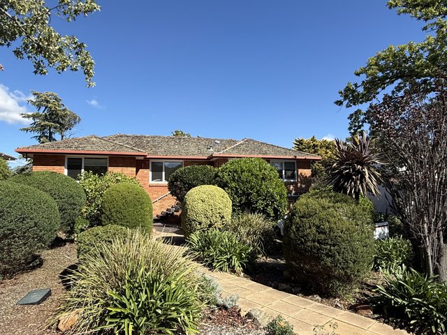 31 Rosenthal Street, ACT 2612