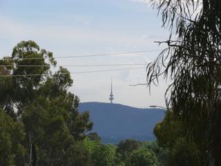 View to Black Mtn