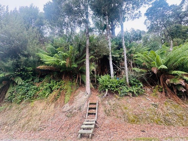 33 Solly Street, TAS 7469