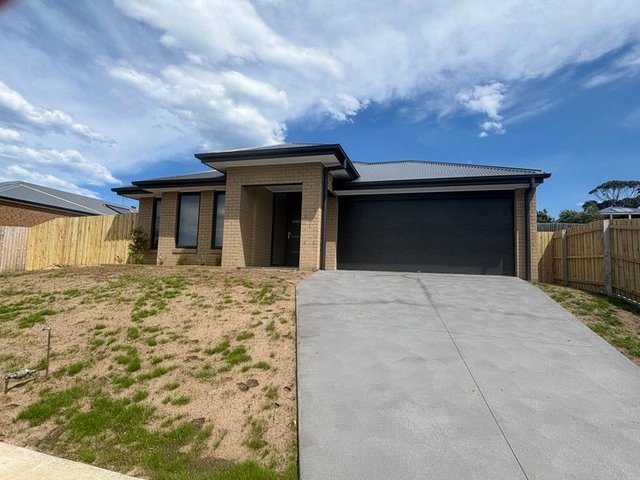 16 Vincent Cres, VIC 3909