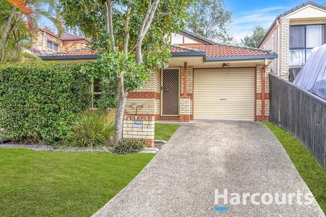 6 Chiswick Place, QLD 4078