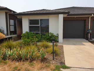 Frontyard