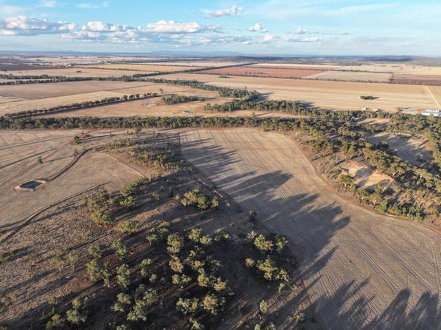 South Westbury Goldfields Way, NSW 2668