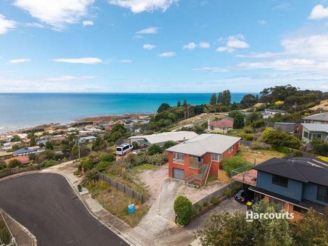 6 Mortimer Road, TAS 7316