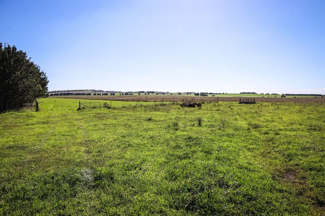 1790 Braidwood Road, NSW 2580