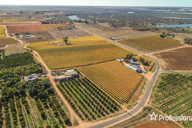 431 Woomera Avenue, VIC 3496