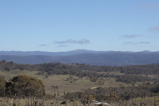 785 Wainui Road, NSW 2630