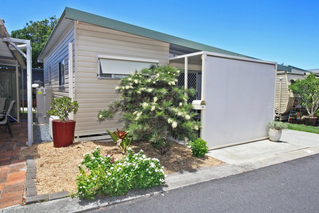 56/478 Ocean Drive, NSW 2443