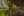 80 Lizray Road, Federal NSW 2480, Federal - Thumbnail 3