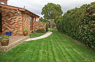 Yard (2004-06-09)