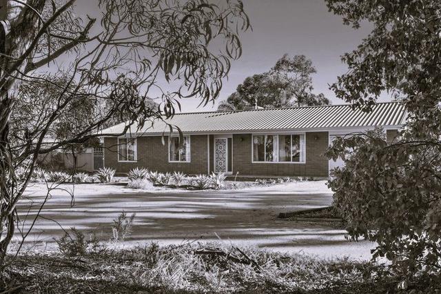 204 Badcoe Road, SA 5333