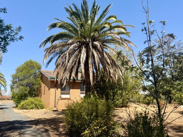 26 Fitches Lane, NSW 2810