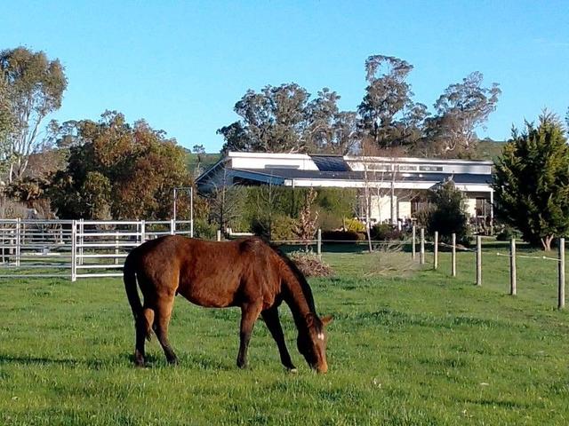 945 Howes Creek Road, VIC 3722