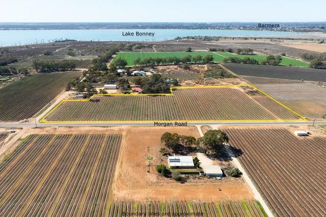 Lot 1 Morgan Road, SA 5345
