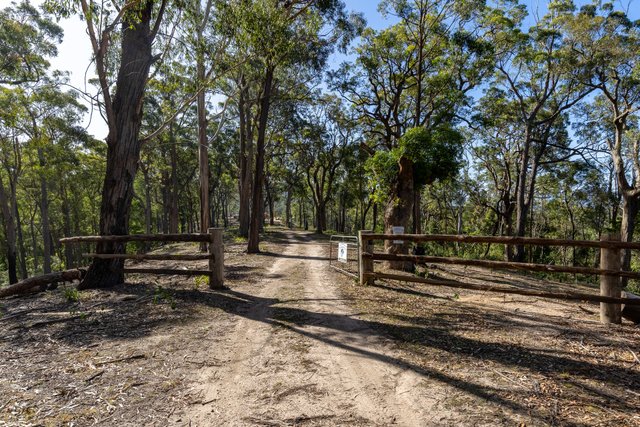 464 Dorrigo Road, NSW 2550