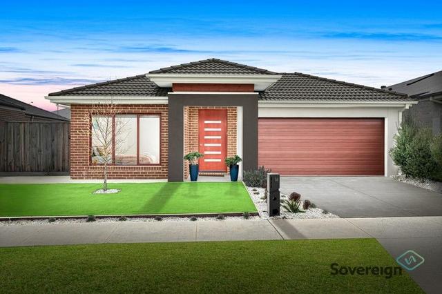 16 Stockfield Avenue, VIC 3978